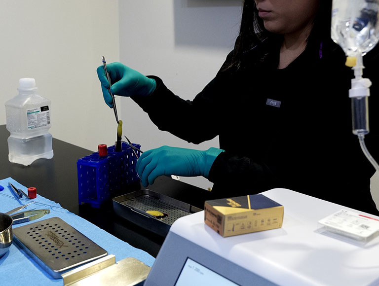 Book Your Consultation